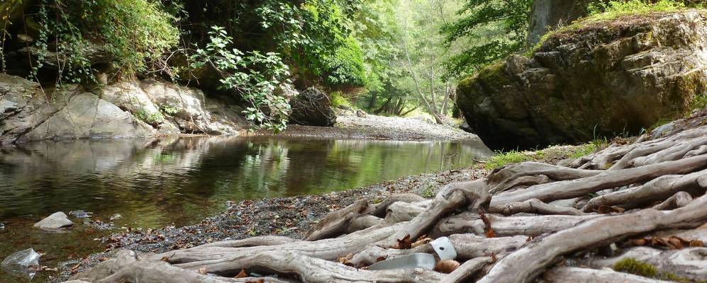 
            Фотография Сан Пьетро Апостоло