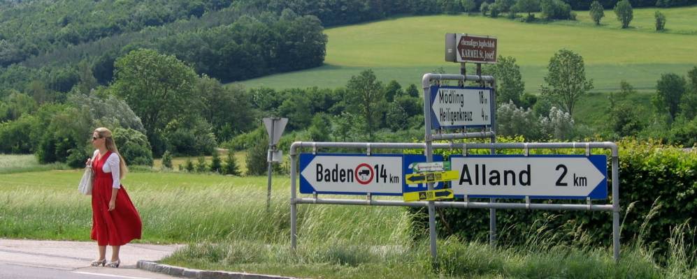 
            Фотография Майерлинга 