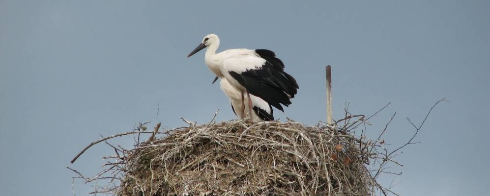 
            Фотография Смешино