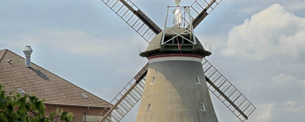 
            Фотография Дорфернена