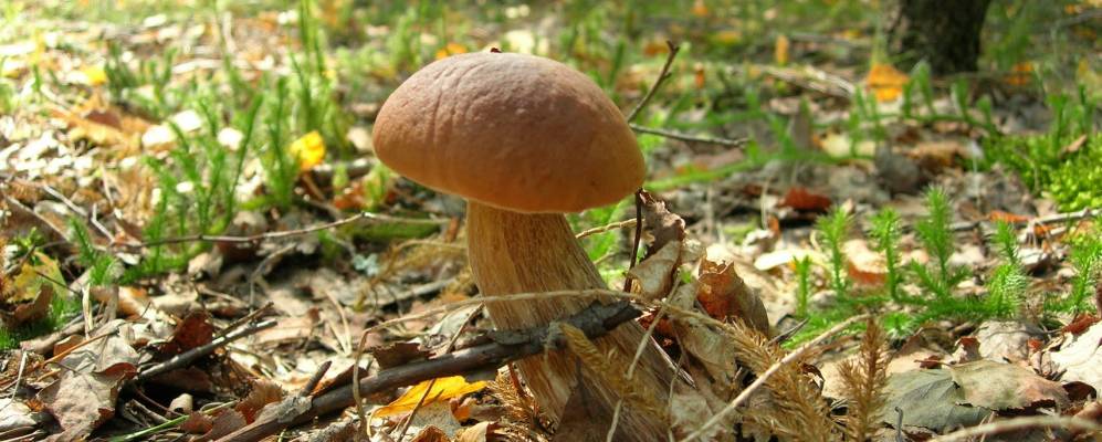 
            Фотография Богдалевки