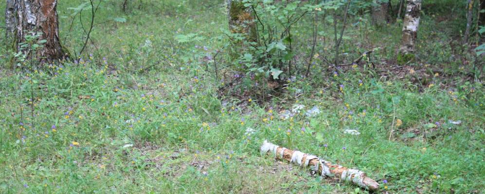 Фотография Балахонихи