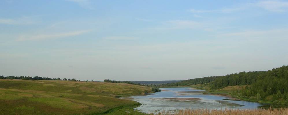 
            Фотография Дубовичьего