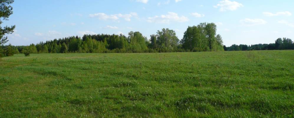 
            Фотография Шилекши