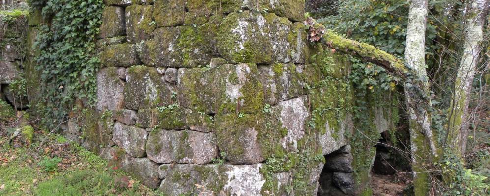
            Фотография Сан-Сиприан-де-Виньяс