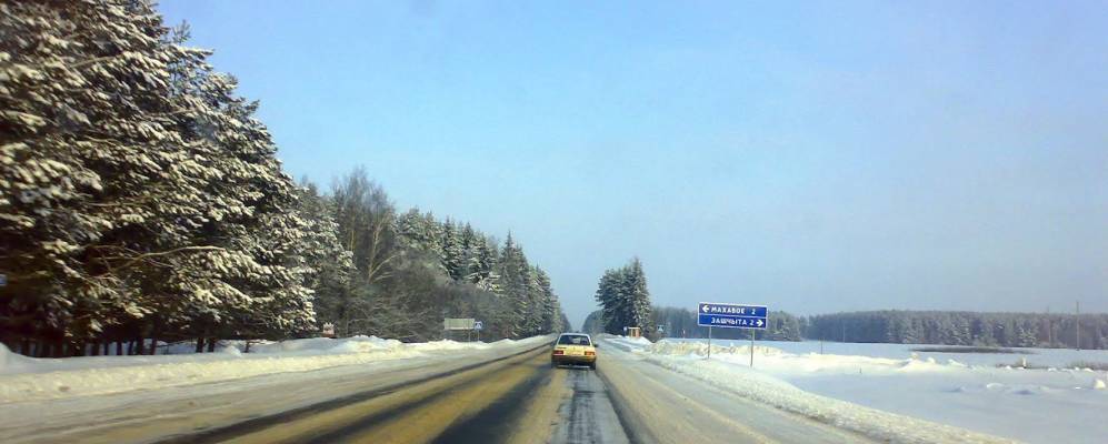 Фотография Большой Мухоморовщины