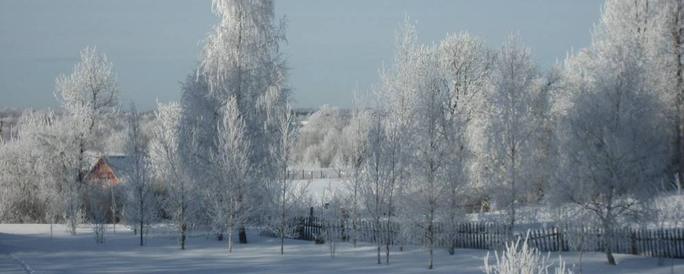 Фотография Березно