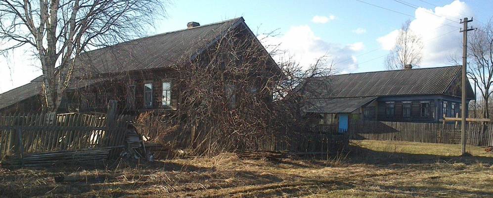 
            Фотография Токовицы