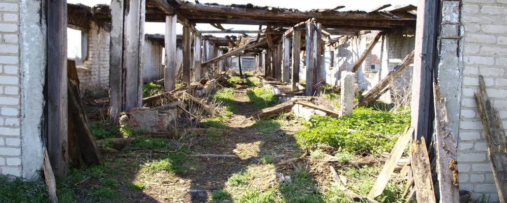 
            Фотография Соломира