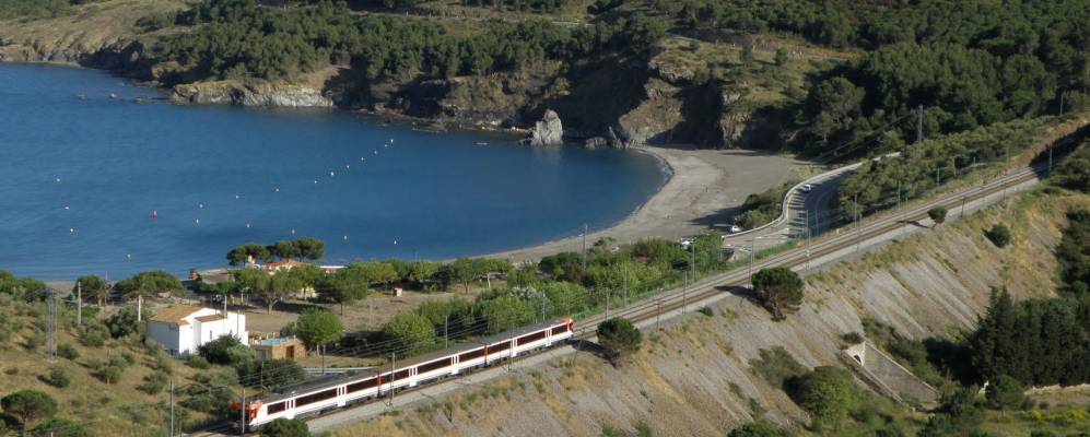 Фотография Колера