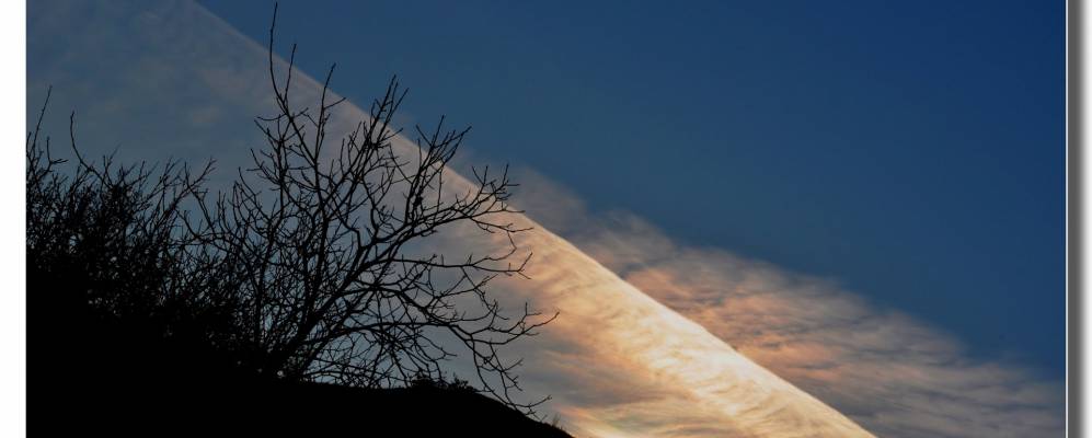 
            Фотография Савиньо