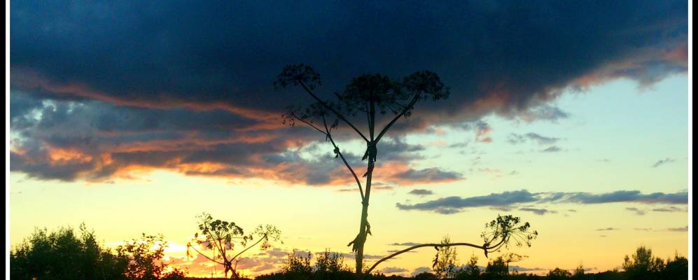 
            Фотография Поселка 81-й километр