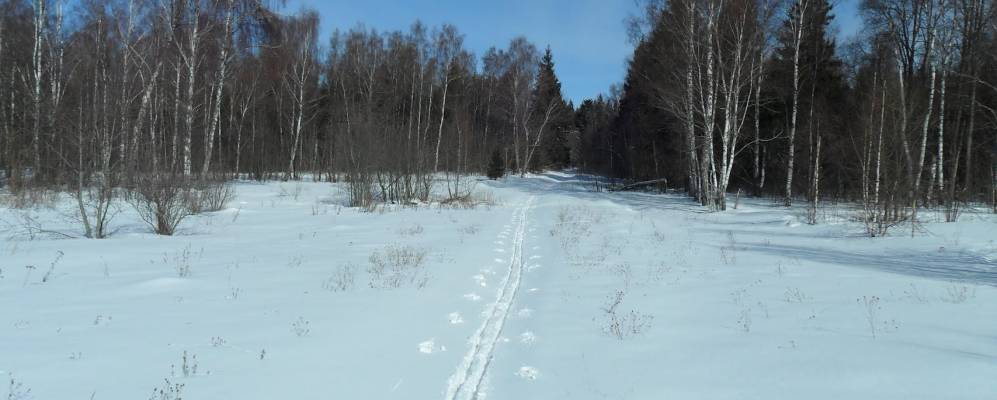 
            Фотография Сурмино