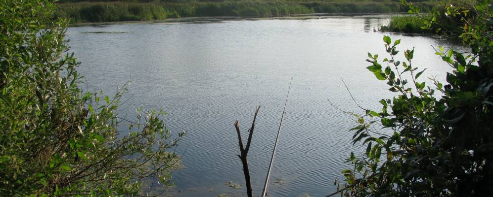 Фотография Кутино