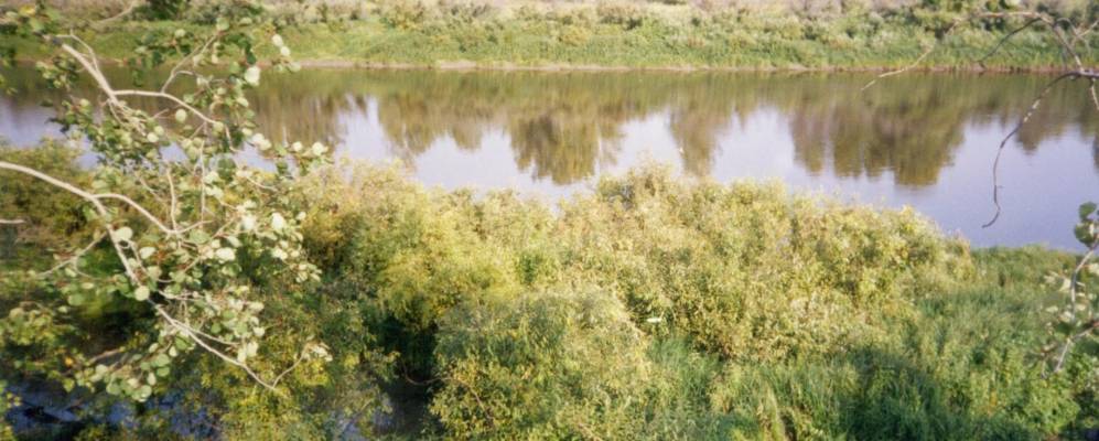 Фотография Речкины