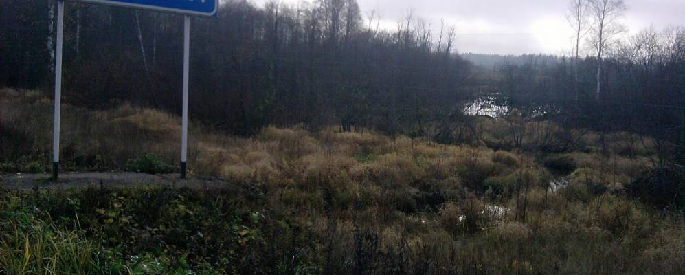 Фотография Селиванихи