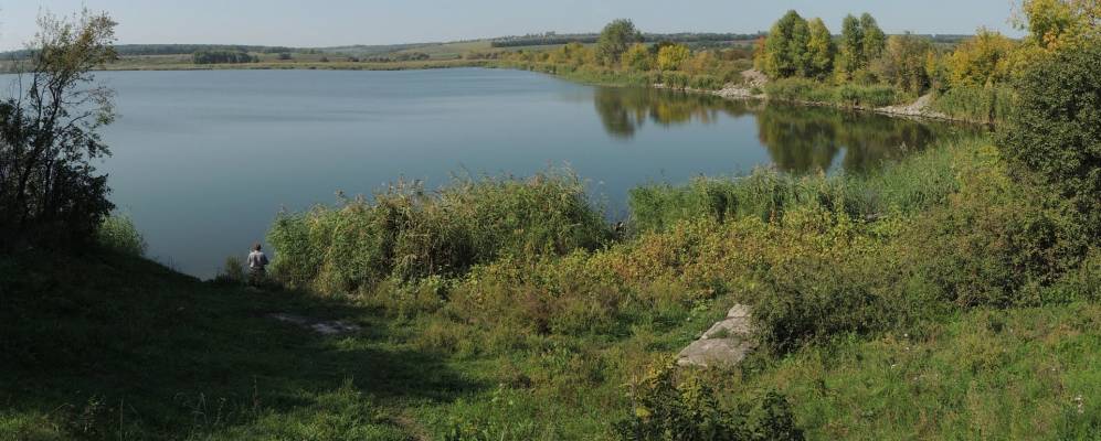 
            Фотография Самоткани