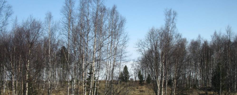 Фотография Клюевки