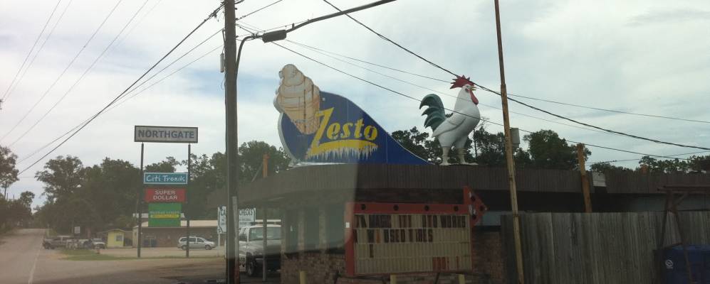 
            Фотография Богалузы