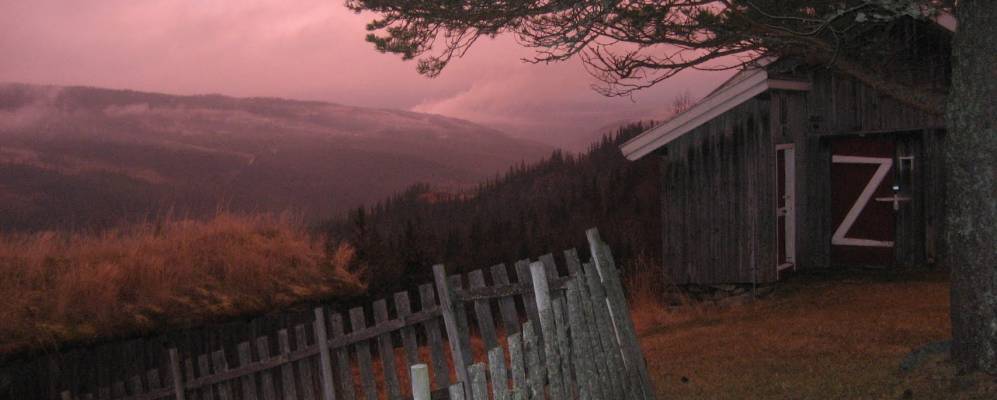 
            Фотография Меллбё