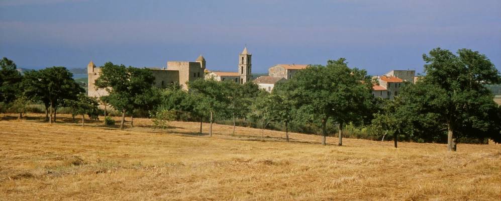 
            Фотография Алерья