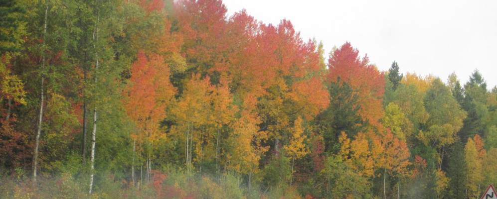 
            Фотография Сухого Ручья