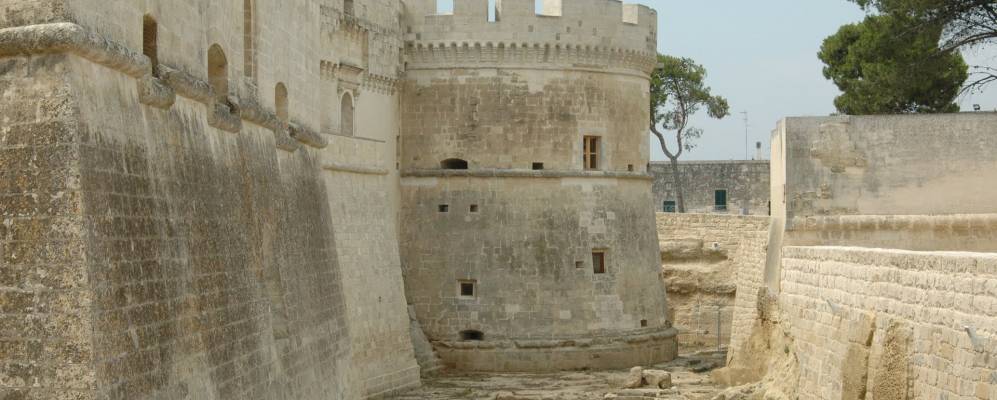 
            Фотография Акаи