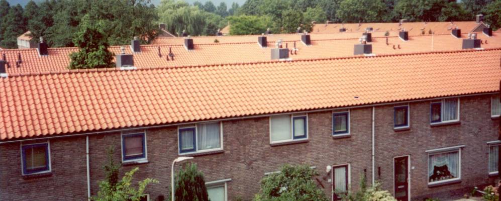 
            Фотография Альфен аан ден Рийна