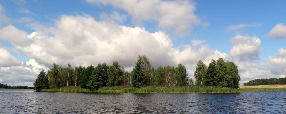 Фотография Кленник-Низа