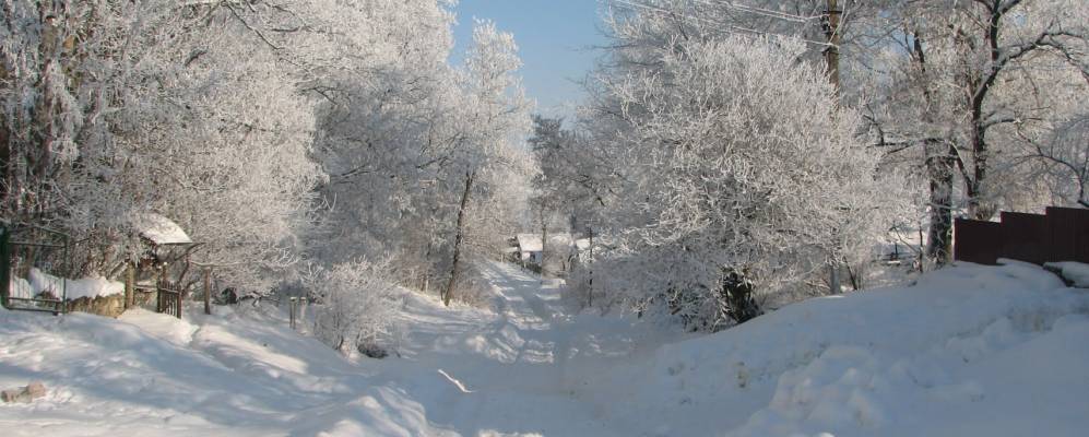 
            Фотография Черешенки