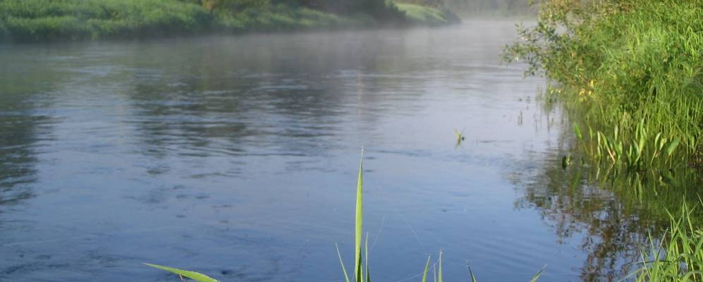 Фотография Меглецов