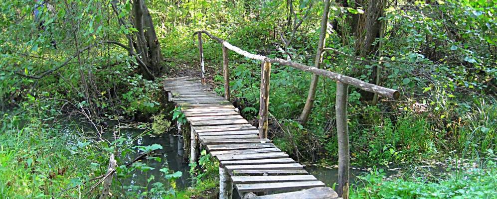 
            Фотография Никиткино