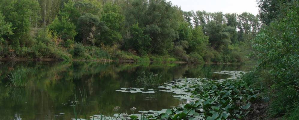 Фотография Ефремовских Хуторов