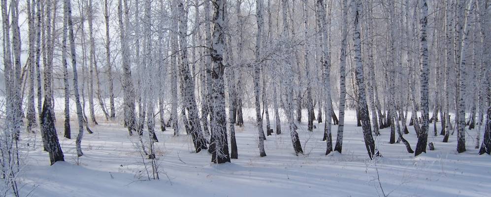 
            Фотография Кудук-Чилика