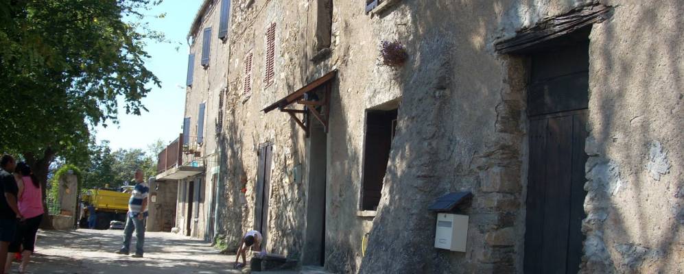 
            Фотография Альци