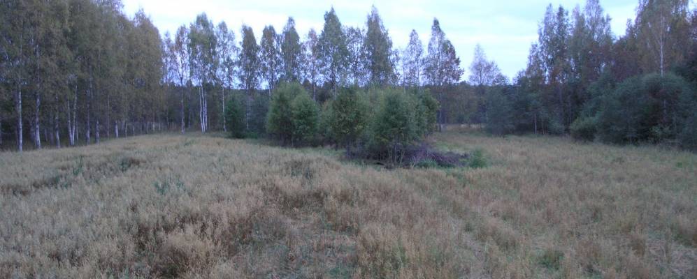 
            Фотография Яблонцево