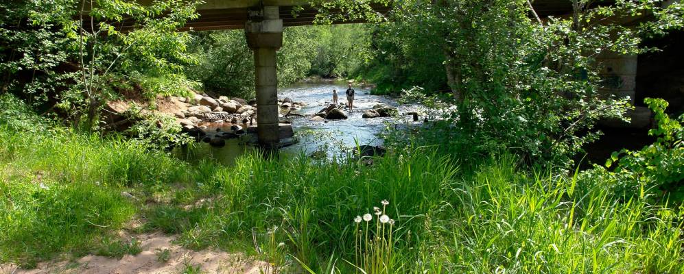 
            Фотография Чернецово