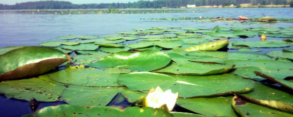 
            Фотография Нагорного