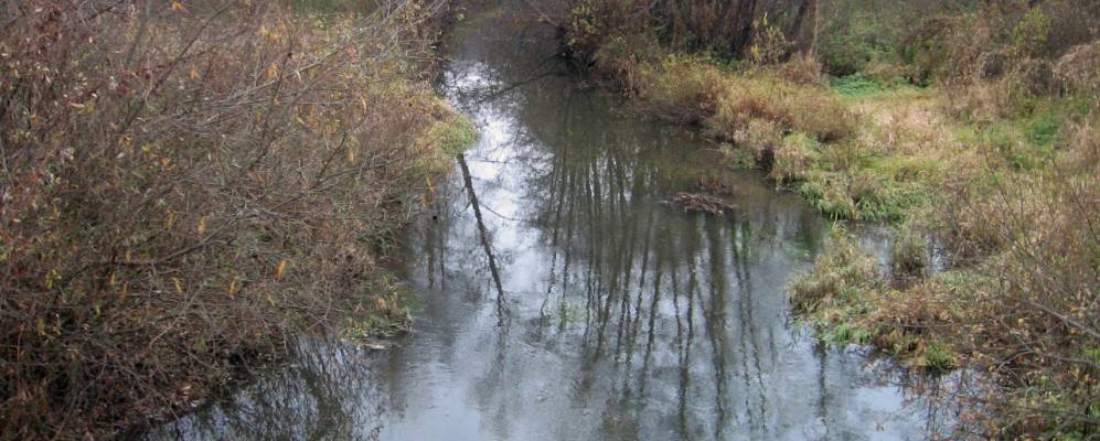 
            Фотография Перелесок