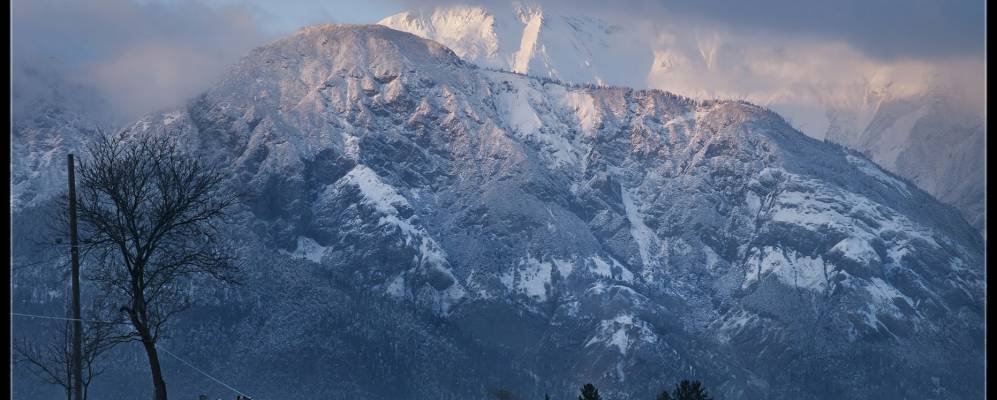 
            Фотография Рина