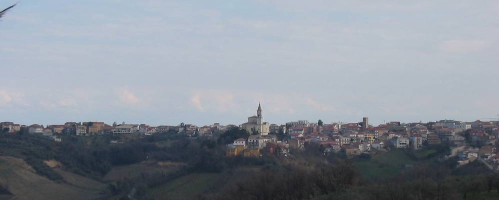 
            Фотография Толо