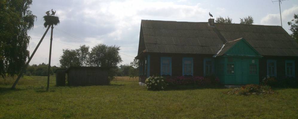 Фотография Новой Нивы