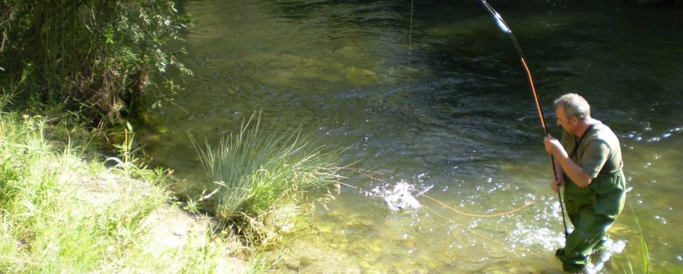 
            Фотография Альфарраса