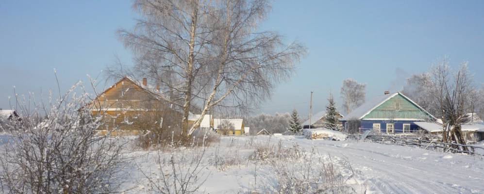 
            Фотография Ламикшино