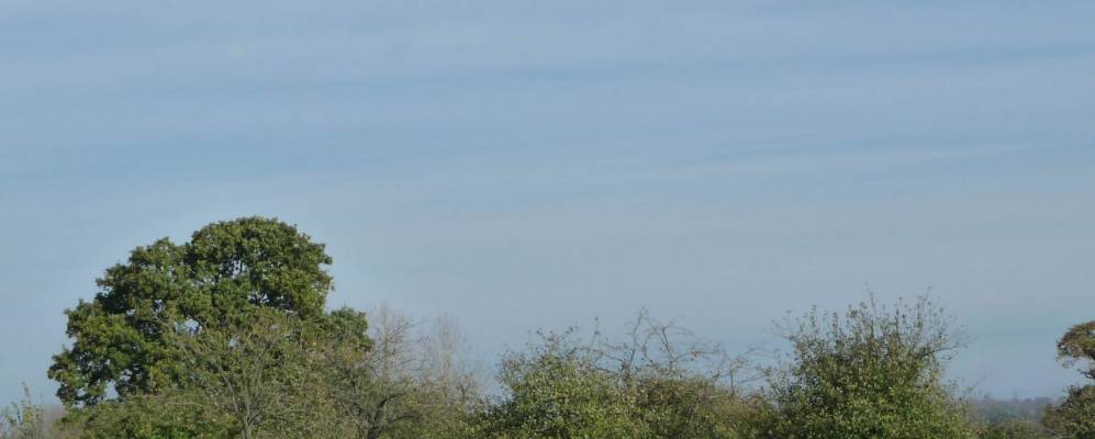 
            Фотография Трелли