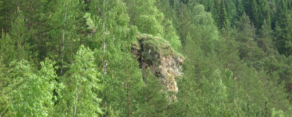 
            Фотография Черепанова