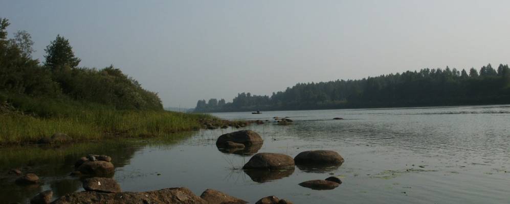 
            Фотография Рышево