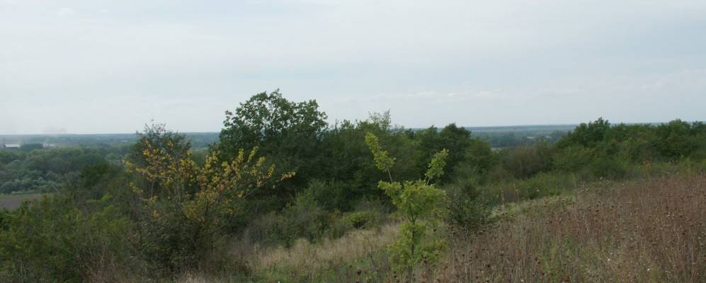
            Фотография Нижневеденеевского