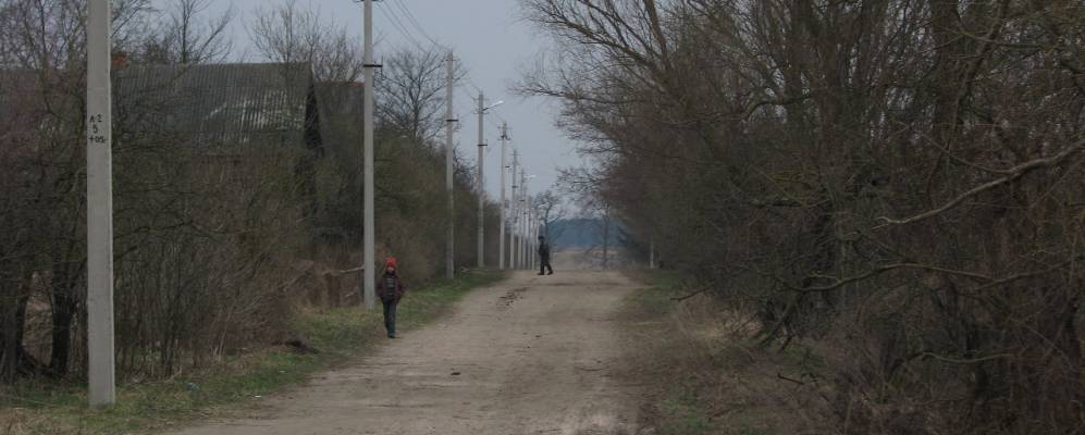 
            Фотография Дубровки