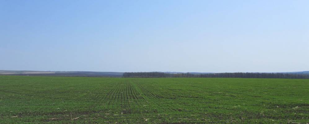 
            Фотография Гуцуловки